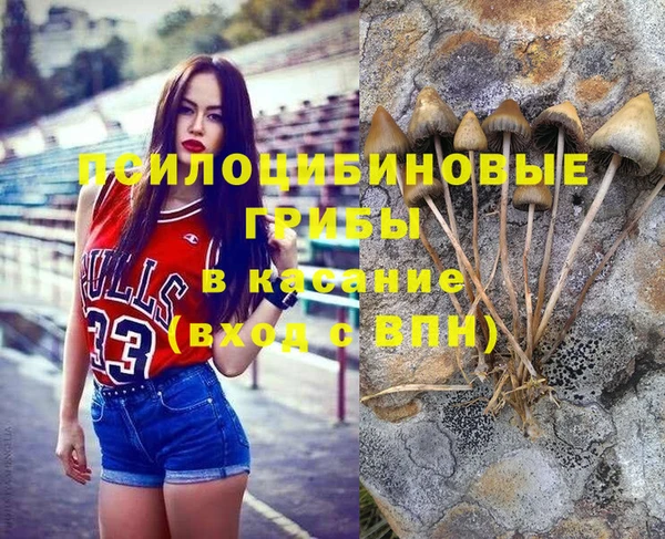 ПСИЛОЦИБИНОВЫЕ ГРИБЫ Армянск