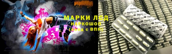ПСИЛОЦИБИНОВЫЕ ГРИБЫ Армянск
