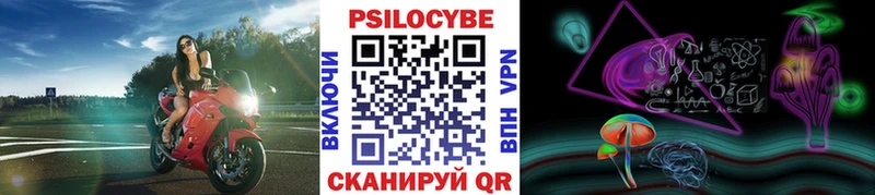 Псилоцибиновые грибы GOLDEN TEACHER  цены   мориарти клад  Сковородино 